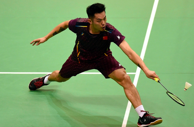 这一成功的 这一成功的