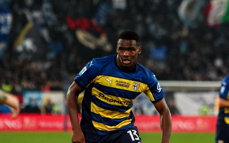 们不仅能为 们不仅能为