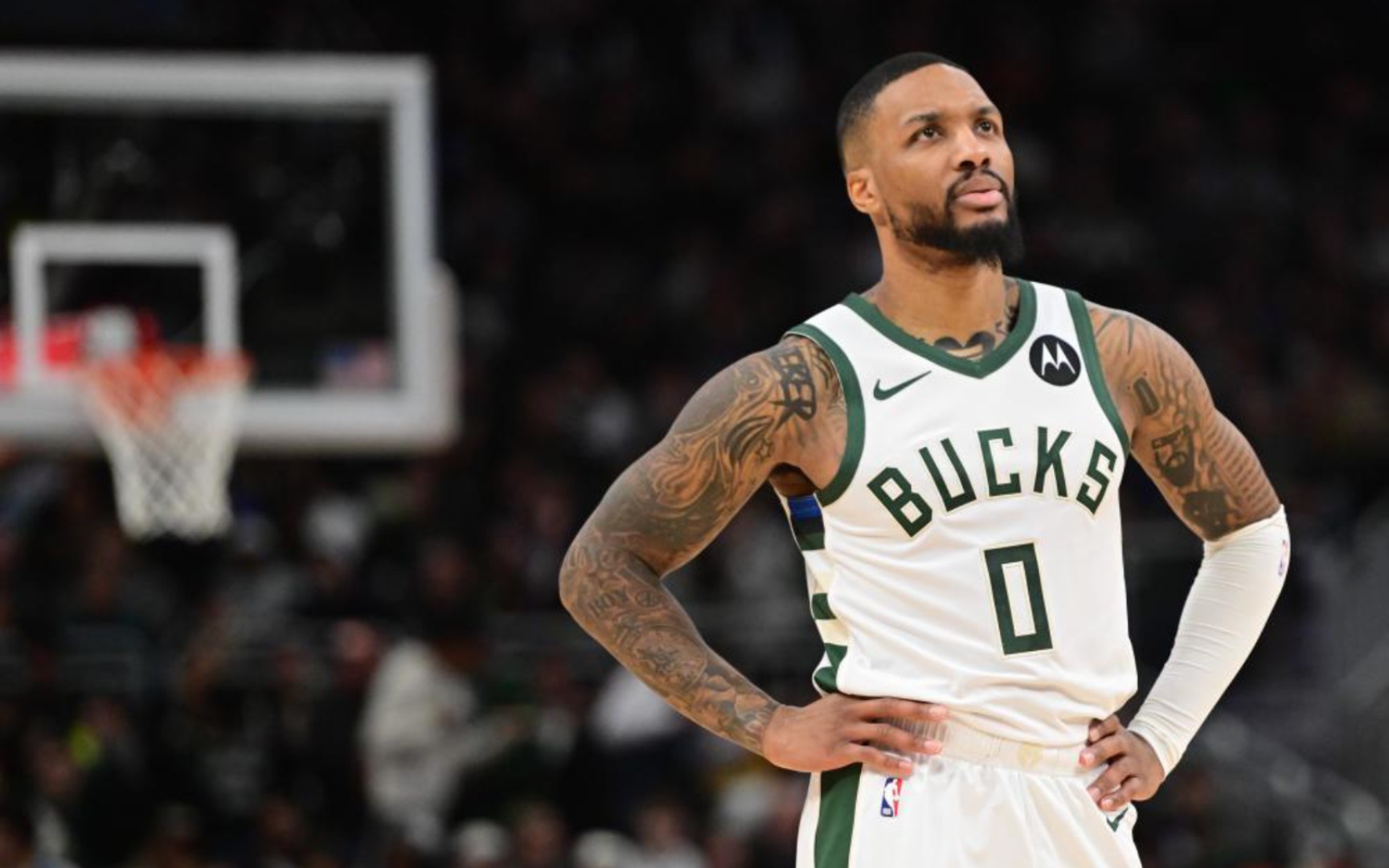 仅测试了两 仅测试了两